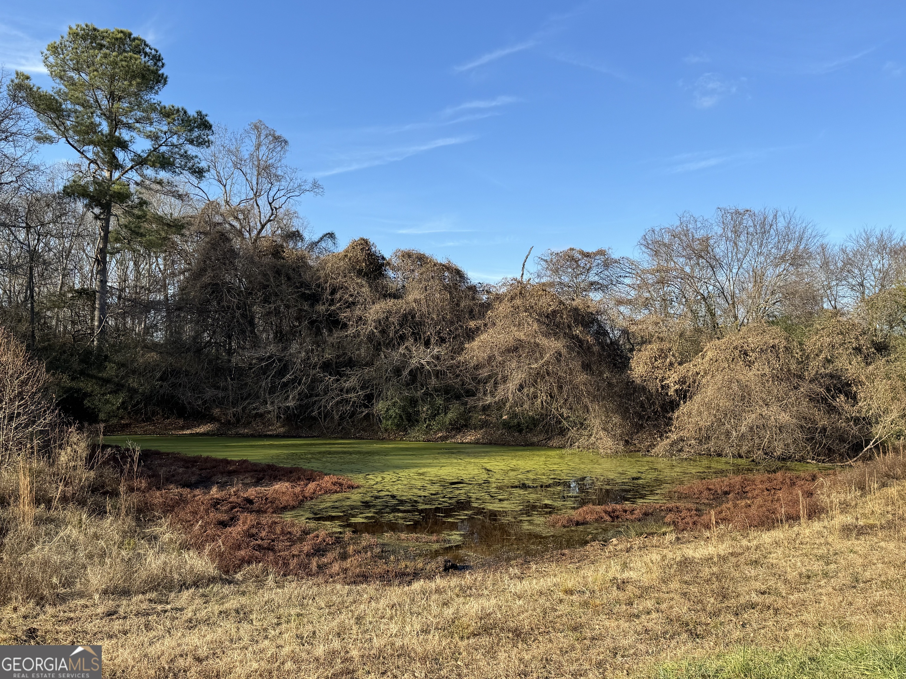 301 Collins Dudley RD