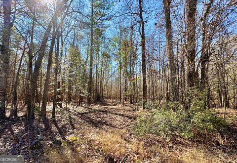 Photo of 1 Cross Cedar Road, Wrightsville, GA 31096 (MLS # 10729197)