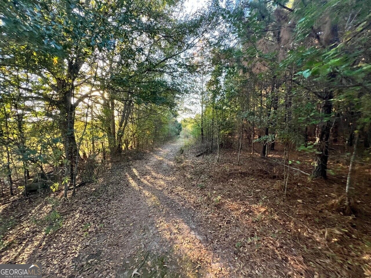 125 Karen DR