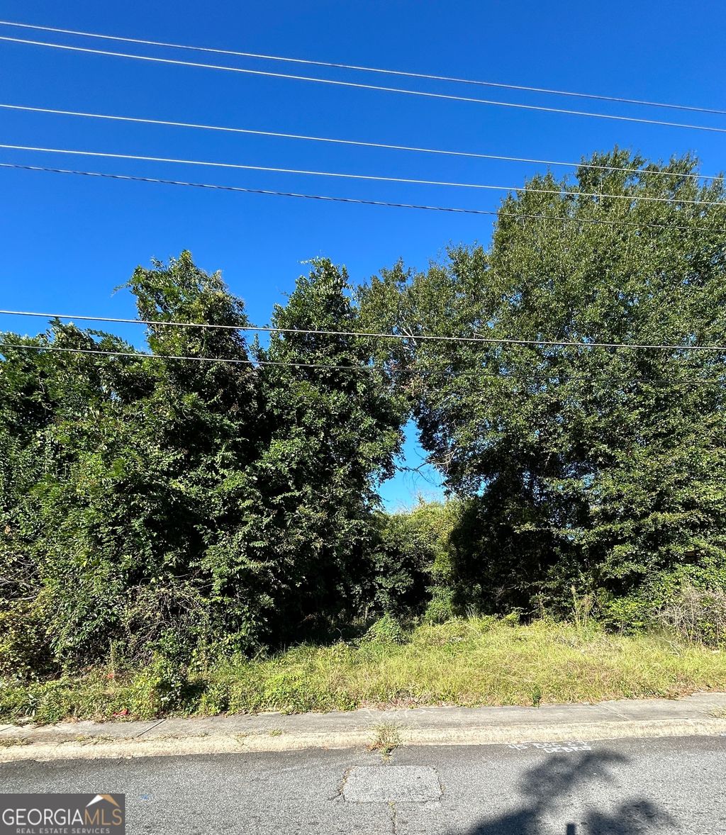 Photo of 734 Fort Hill Street, Macon, GA 31217 (MLS # 10763430)