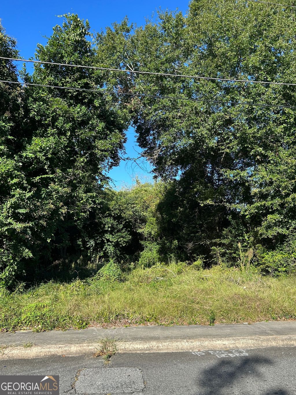 Photo of 734 Fort Hill Street, Macon, GA 31217 (MLS # 10763430)