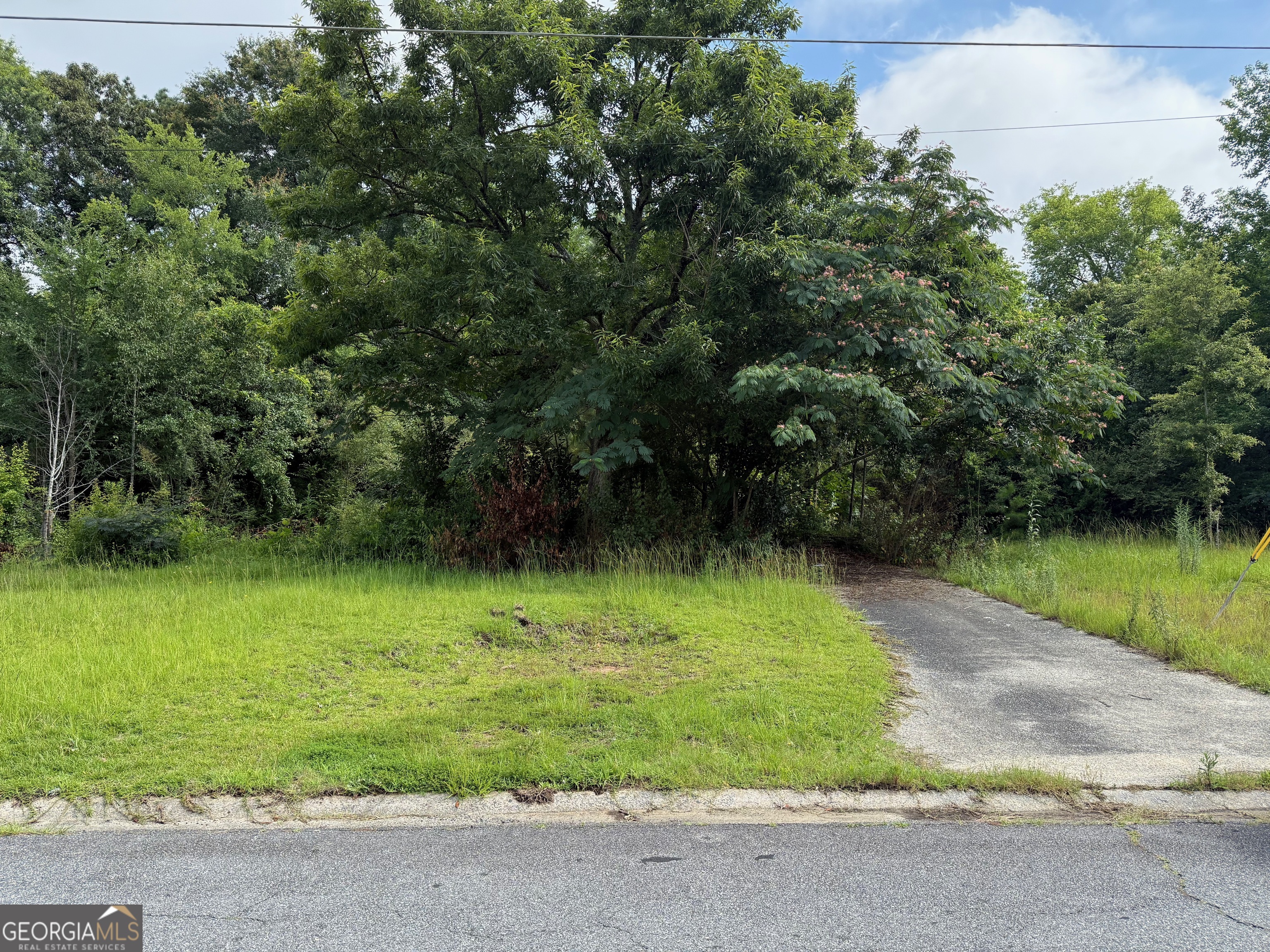 Located in Macon's Vinson Village subdivision, this 0.23-acre land lot offers a great opportunity for an affordable new build or investment property. With just a little TLC, it's ready for you to bring your vision to life. Don't miss out on the chance to secure a versatile piece of land in a growing area. See for yourself, and imagine the possibilities.