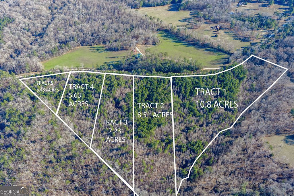 Photo of 4 Dunbar School Road, Williamson, GA 30292 (MLS # 10674379)