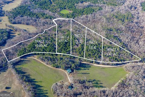 Photo of 4 Dunbar School Road, Williamson, GA 30292 (MLS # 10674379)