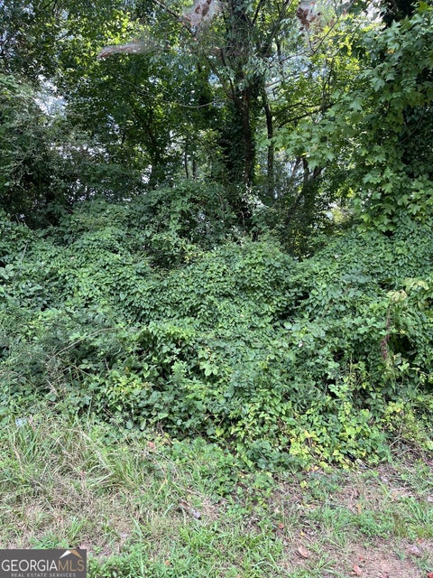 Photo of 200 Canton Street, Canton, GA 30114 (MLS # 10825971)