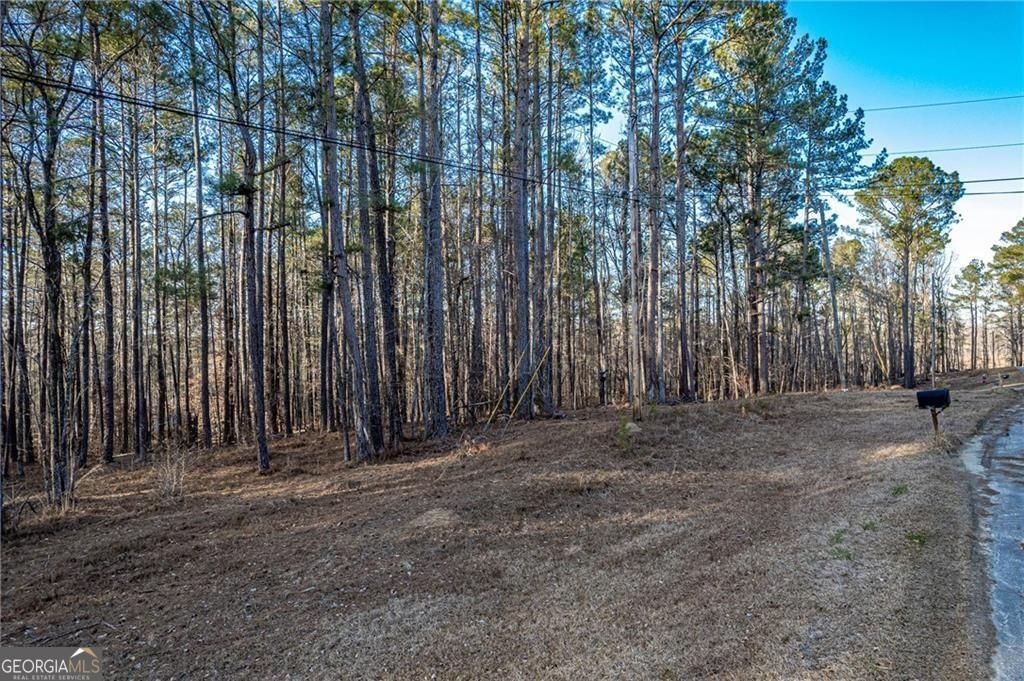 Photo of 00 N Steel Bridge Road, Eatonton, GA 31024 (MLS # 10697221)