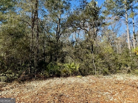 Photo of 0 Live Oak Lane Road, Nevils, GA 31321 (MLS # 10846396)