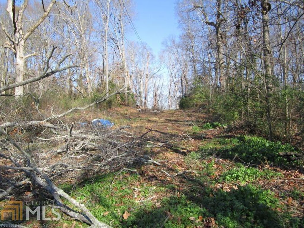 Photo of 1000 N 9 Street, Griffin, GA 30223 (MLS # 8876801)