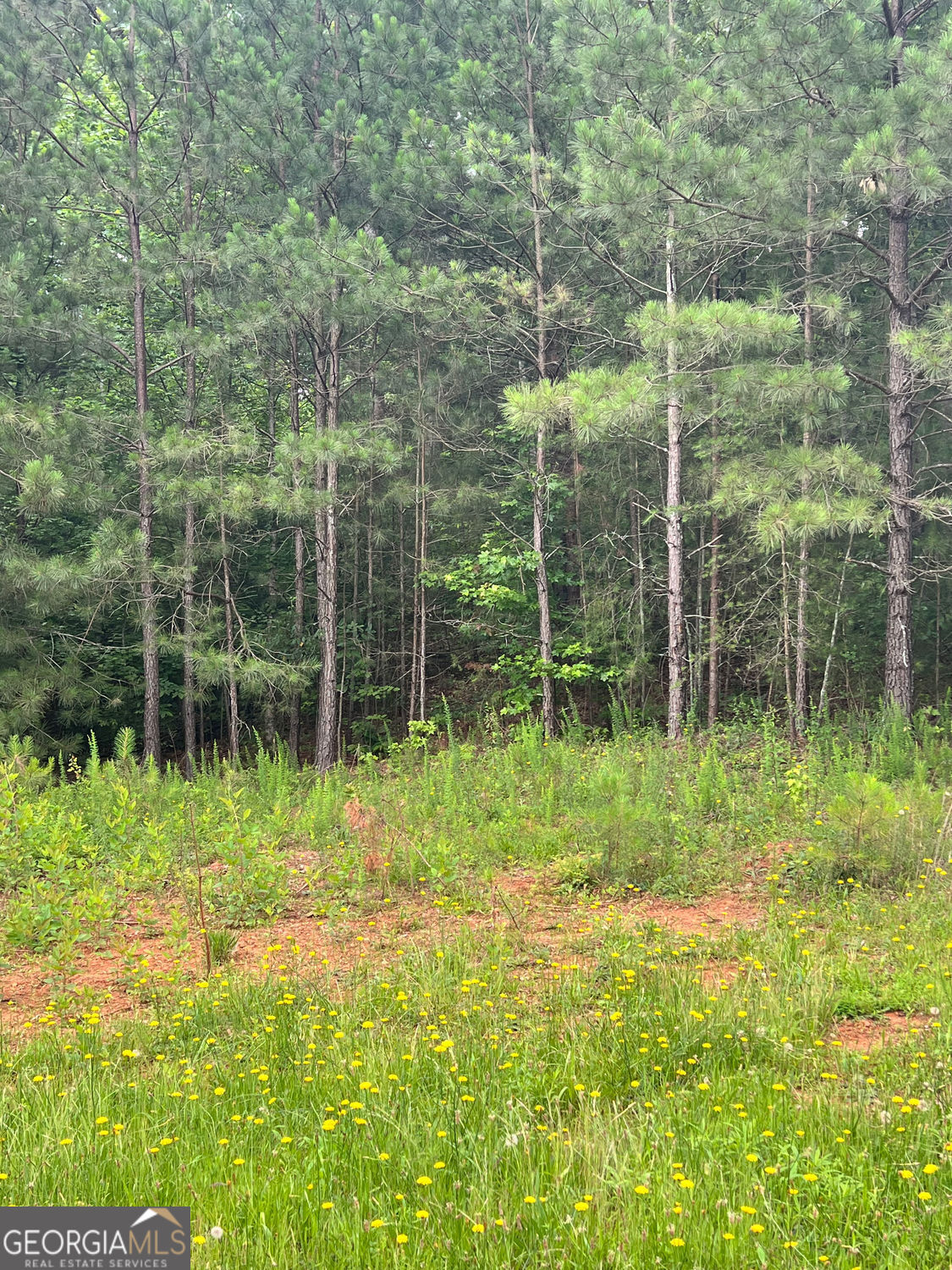 White, Georgia 30184, United States, ,Land,Active,174296