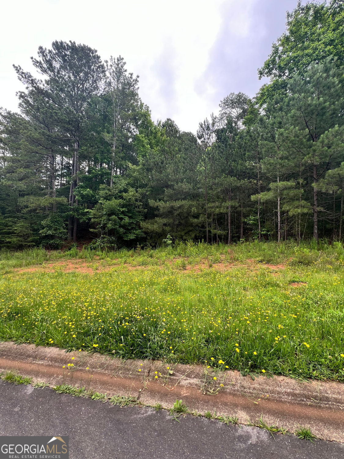 White, Georgia 30184, United States, ,Land,Active,174296