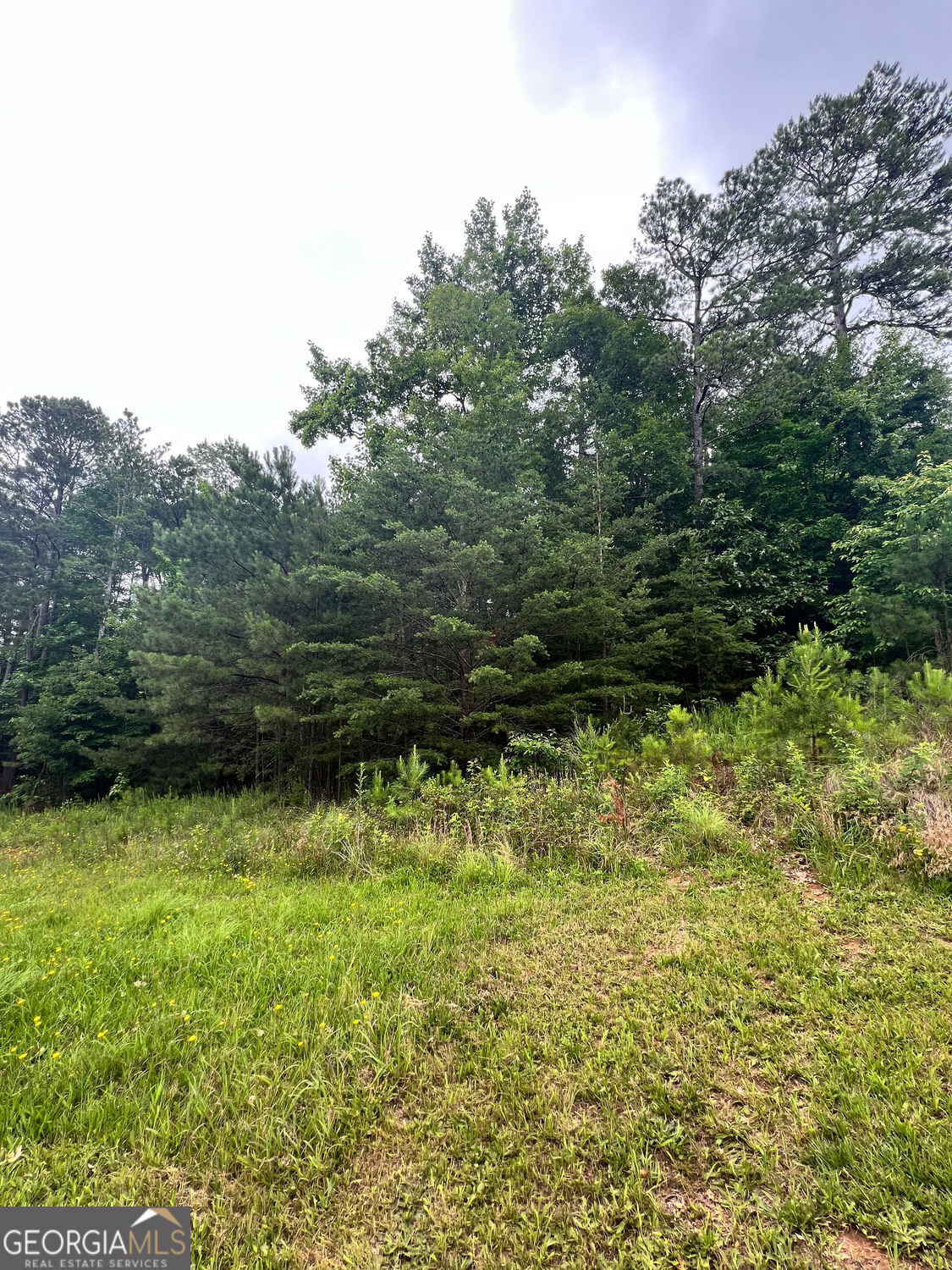 White, Georgia 30184, United States, ,Land,Active,174296