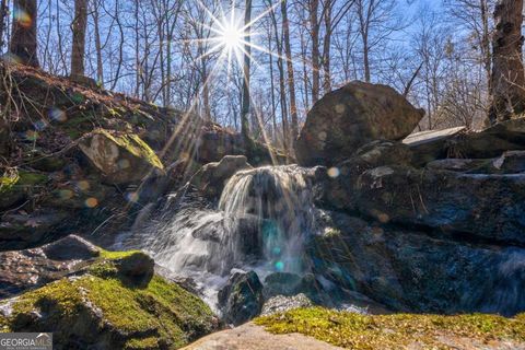 626 Ruffs RD Carlton GA 30627