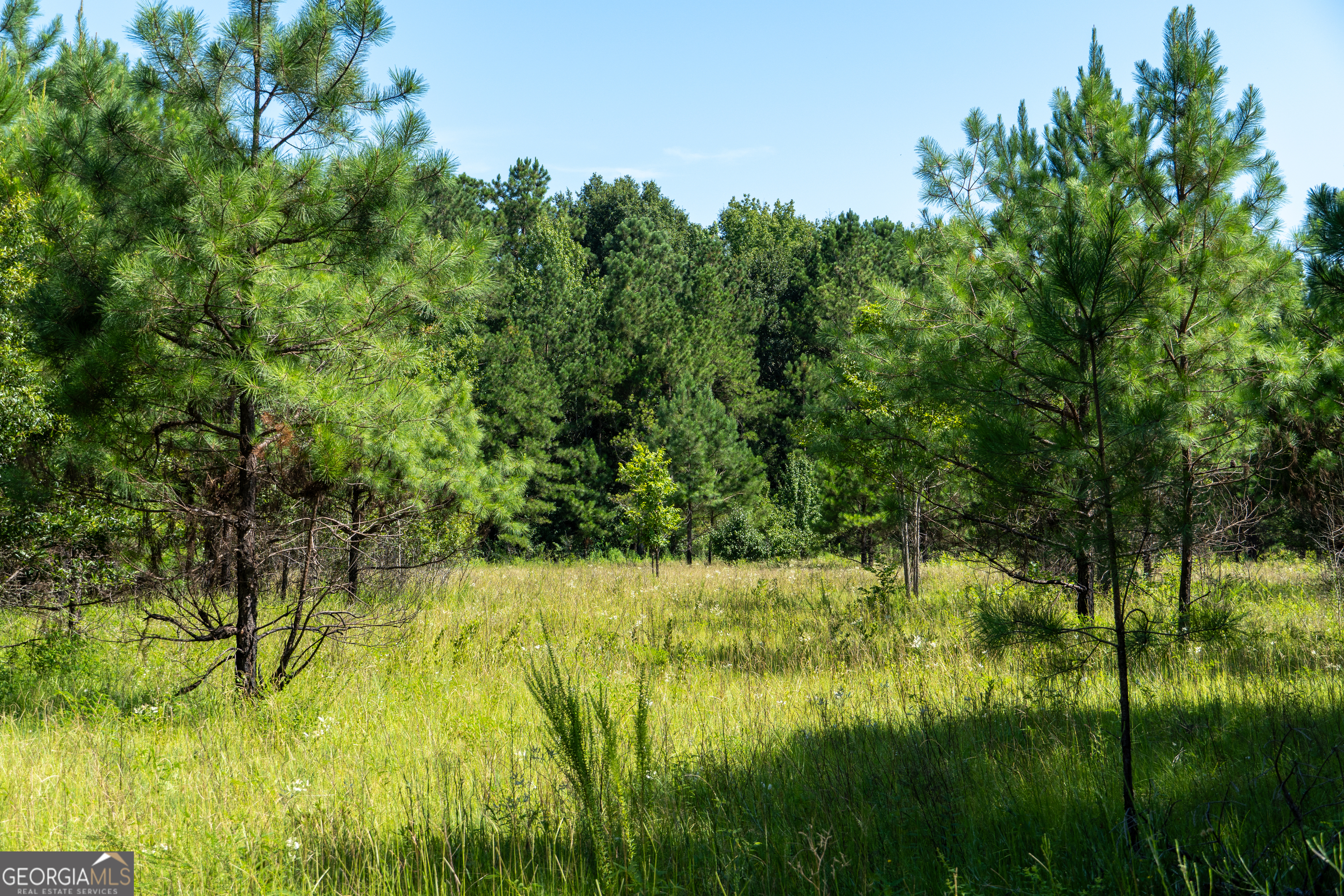0 Plantation RD