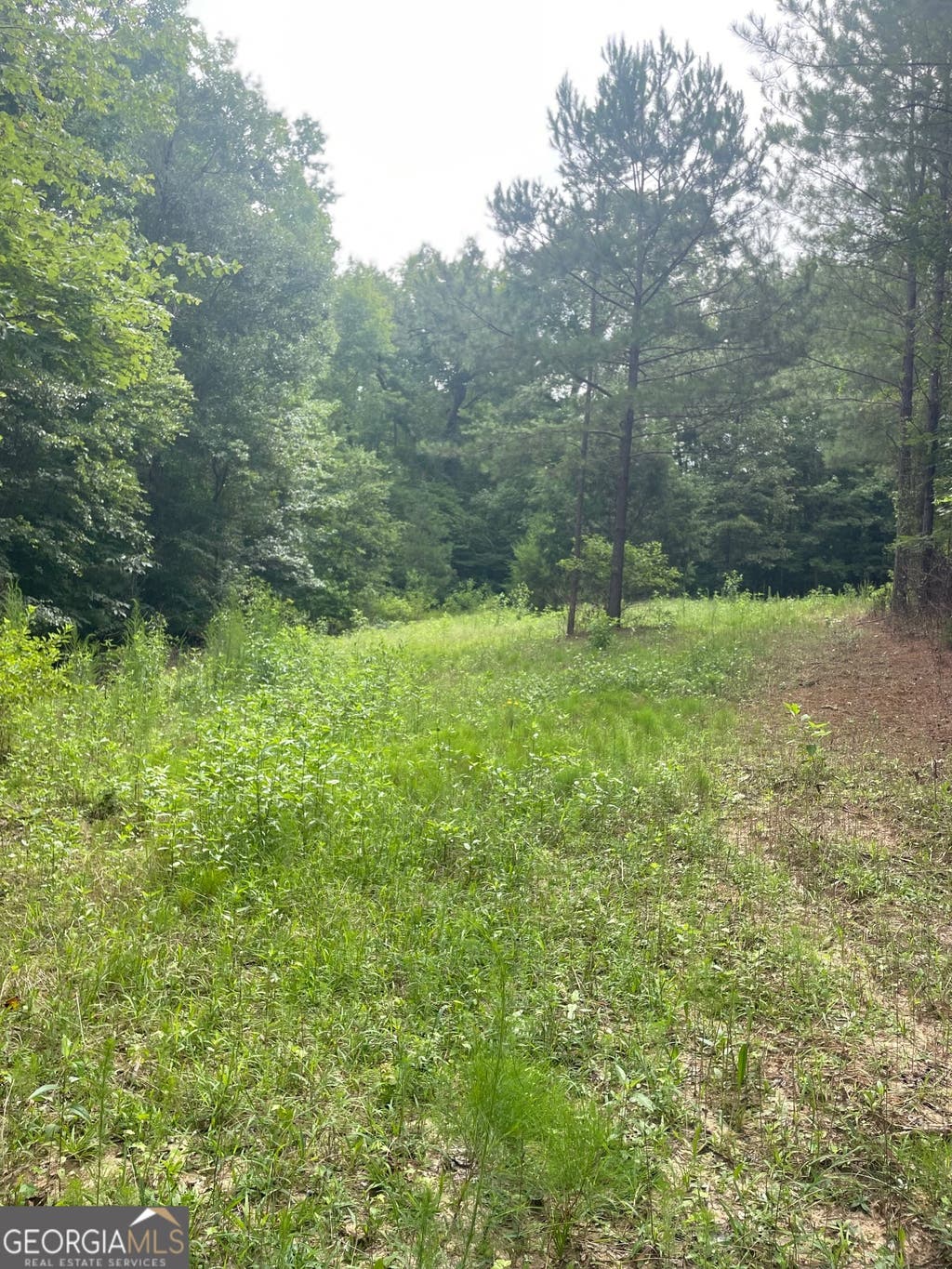 Photo of 0 GRAHAM ROAD Graham Road, Hogansville, GA 30230 (MLS # 10813082)
