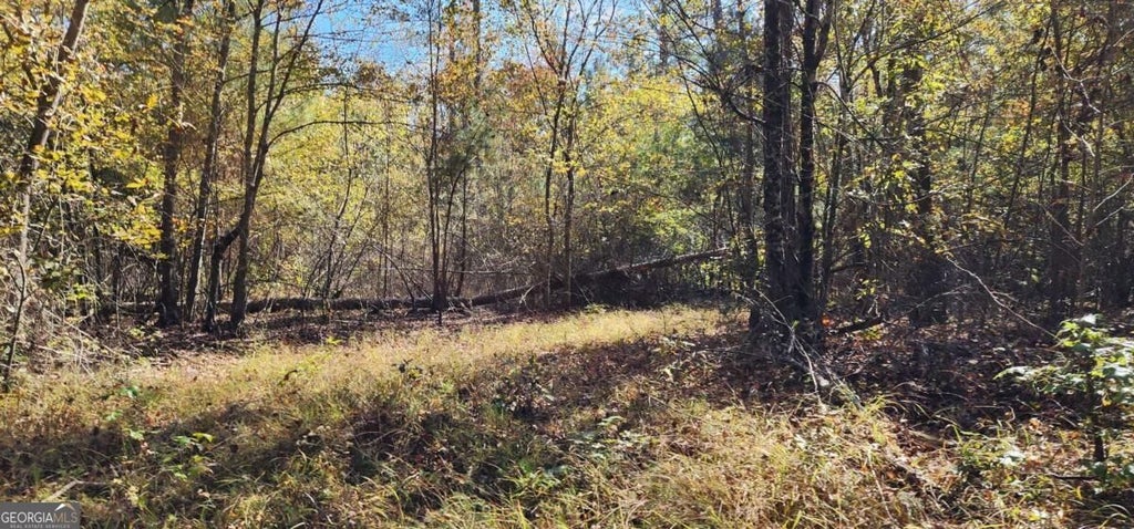 Photo of 0 Hwy 411, Rome, GA 30161 (MLS # 10812926)