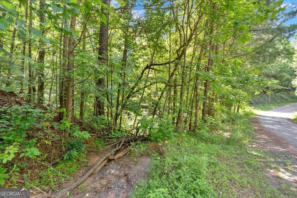 A peaceful Woodland retreat awaits! Enjoy 5.45 acres of unrestricted wooded and rolling terrain available for residential and/or recreational use. Private, level building site identified as perfect for custom build, manufactured or mobile home site. No HOA or deed restrictions. Small stream on property. Not in flood zone. Located conveniently off GA-515N, just minutes from Jasper and Ellijay, this property offers easy access to shopping, dining, and outdoor recreation & adventure-fishing, hiking, and relaxing in nature at your doorstep.? Seller will have well installed and gravel drive cut-in with acceptable offer.