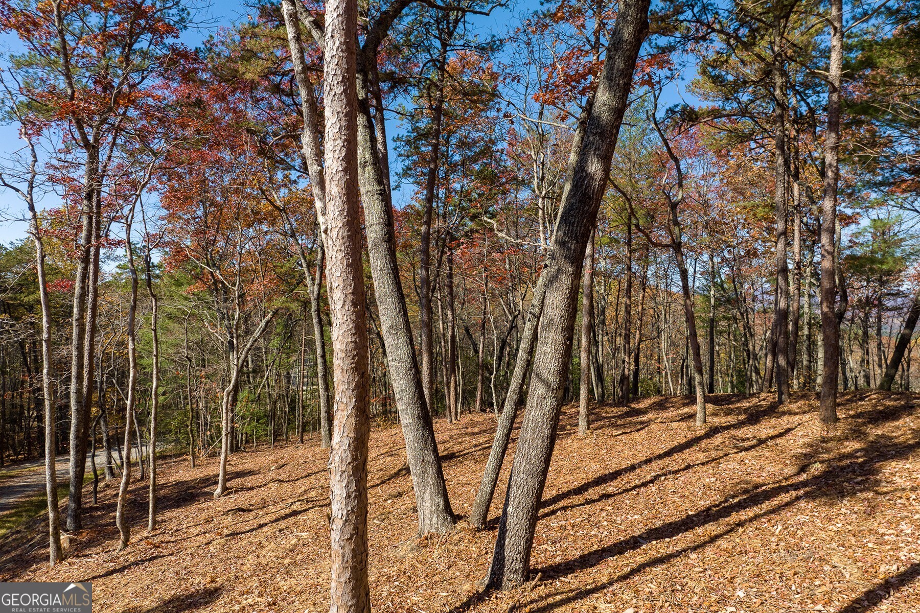LOT 41 Preserve TRL