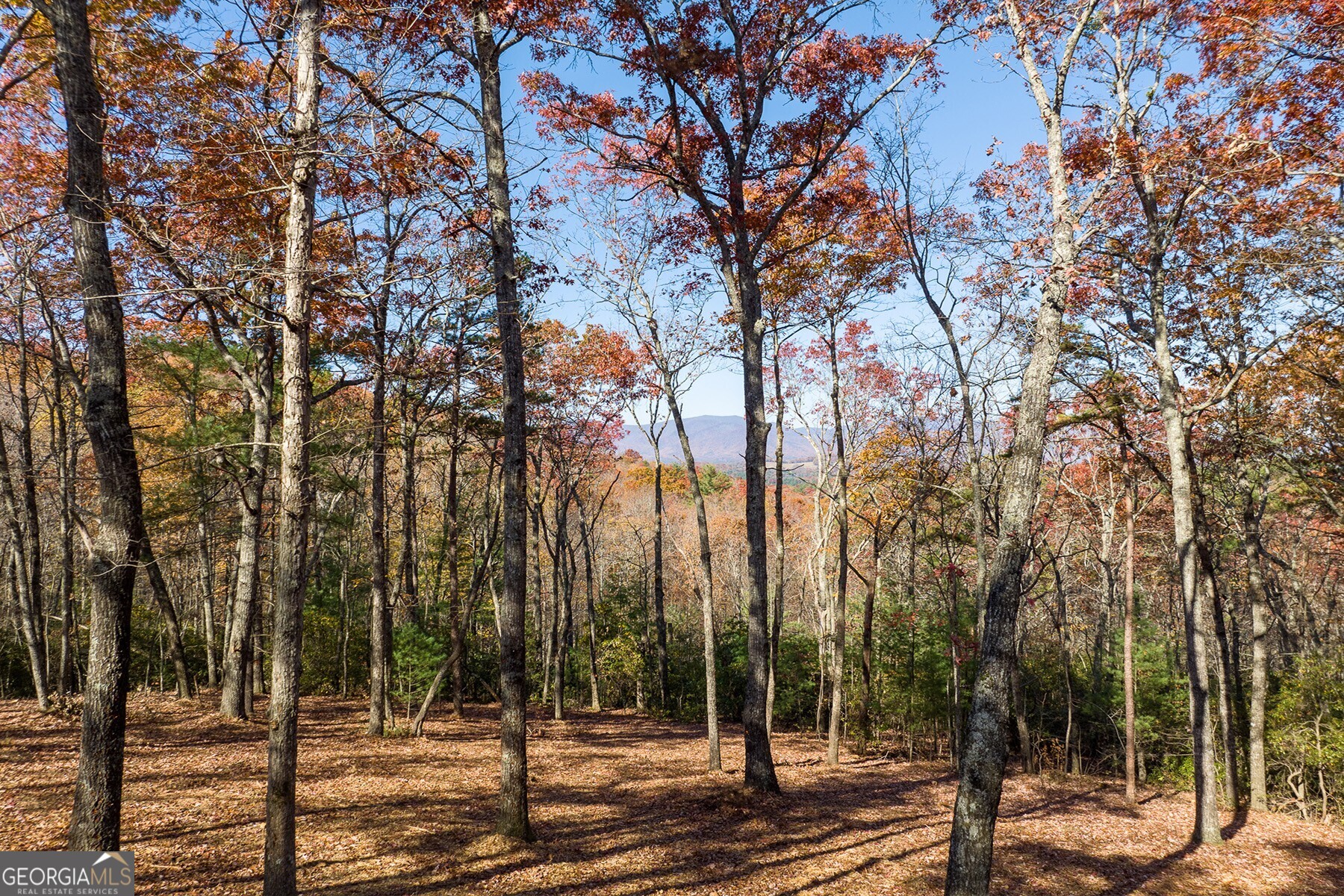 LOT 41 Preserve TRL