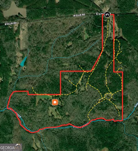 Photo of 28237 W Ellis Road, Griffin, GA 30223 (MLS # 10683409)