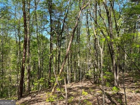 269 Appleberry Mountain RD Waleska GA 30183