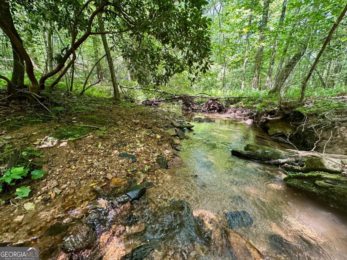 Country roads take me home. Come live the American dream of property ownership. As the world gets crazier opportunities like this get gobbled up. In an area of similar sized Ranchettes, this 13.6-/+acres is ready for all of your land dreams. Are you wanting a pond? Two noisy creeks converge here making just the right spot for that to happen. Do you want to build a large slab barndo or shop footprint? There is plenty of room for that and another home. Per regulations two homes can be built on this lot. No mobiles. We have cleaned up the trails here for easy access by Polaris. There's beautiful spots to enjoy by the creek just off the trail. The homesites are private and hidden but have easy access by the existing driveway. Additional acreage opportunities not listed online are available. From 5-14-/+acres. Do you want something with the trees gone, we have that too. Mountain Views, creek front, easy laying flat land. The topography is gentle on everything, the creek front and sound is amazing, The wildlife is endless. Privacy & quiet simplicity is king! Time slows down here & things seem a lot simpler. Welcome to the country, dark night skies, fireflies, a cool mountain breeze. This is good land ready for someone to love it. Power and fiber available at the lot! Minutes to downtown Dahlonega or 400. Highly sought after location for wanting a little more space. We offer Owner Financing to help you grab your land and being able to work out the details on selling your home or getting construction financing. New road name, will not map! Call today for your private tour, we bring the Polaris so you don't have to walk in this heat! Broker/Owner.