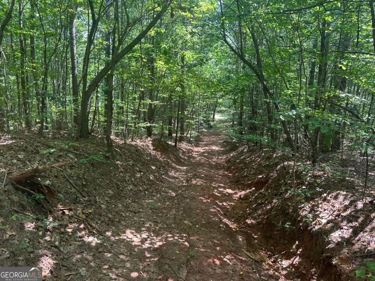 1A Patriot View DR