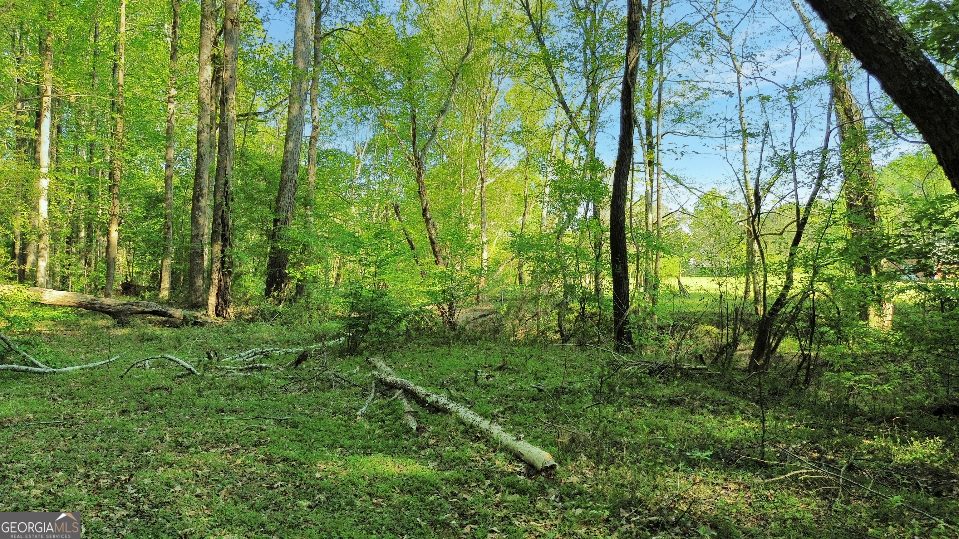 0 Flanagan Mill RD
