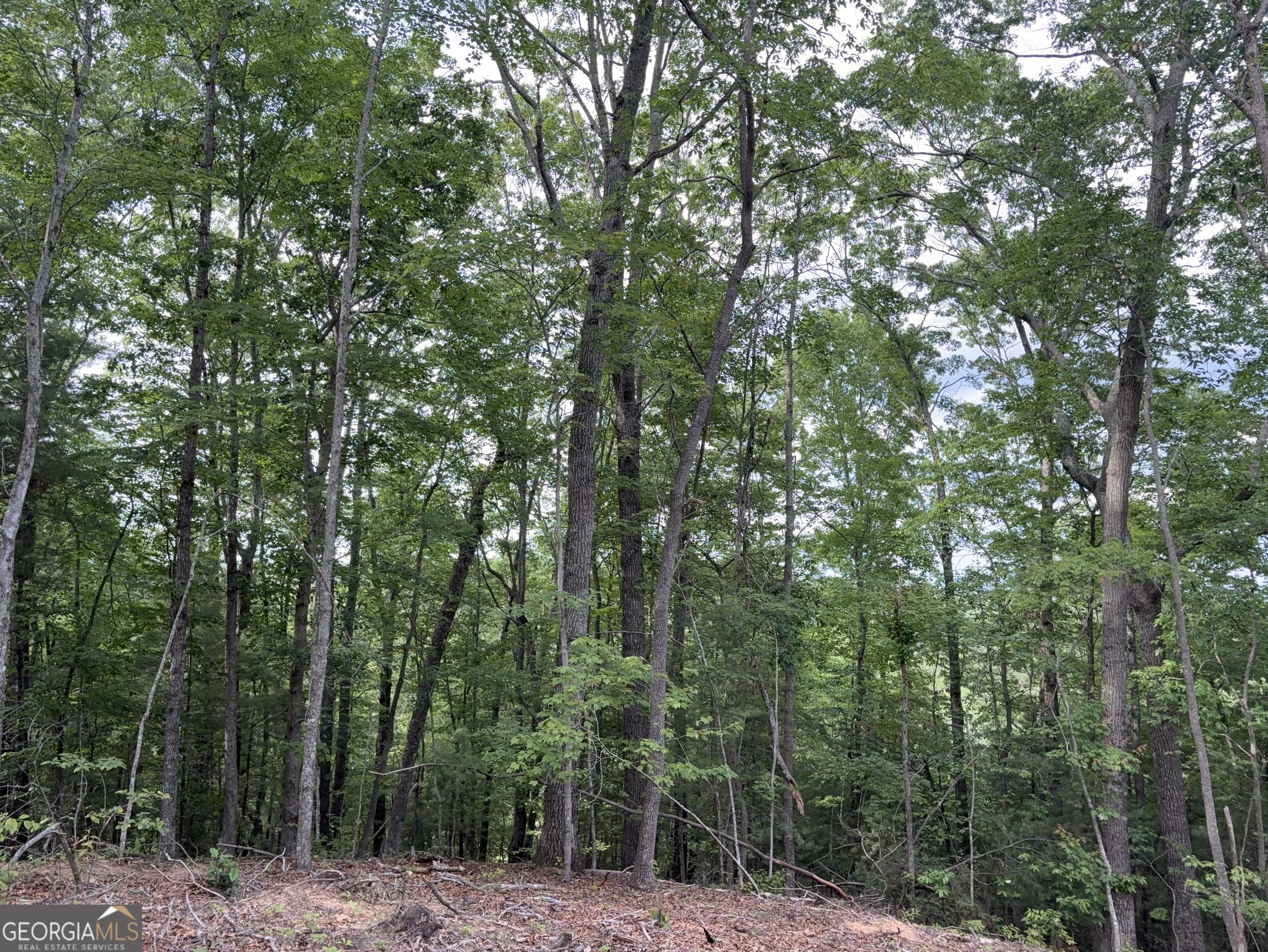 0 Sugar Creek Rd.
