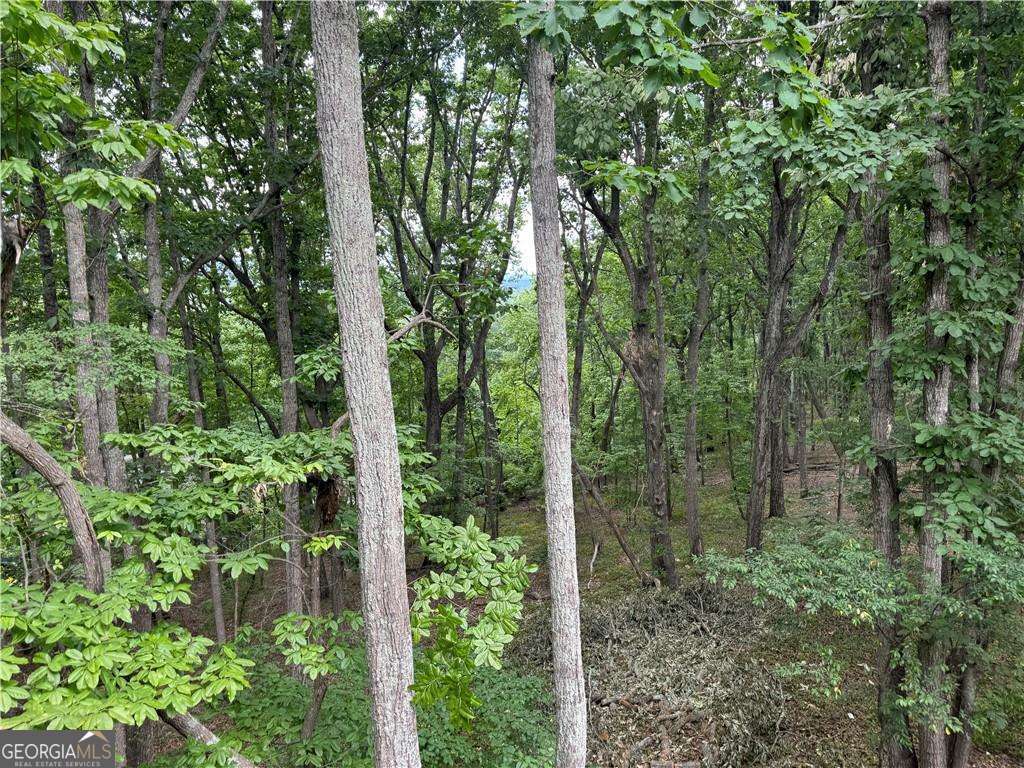 2595 Highland Pointe DR