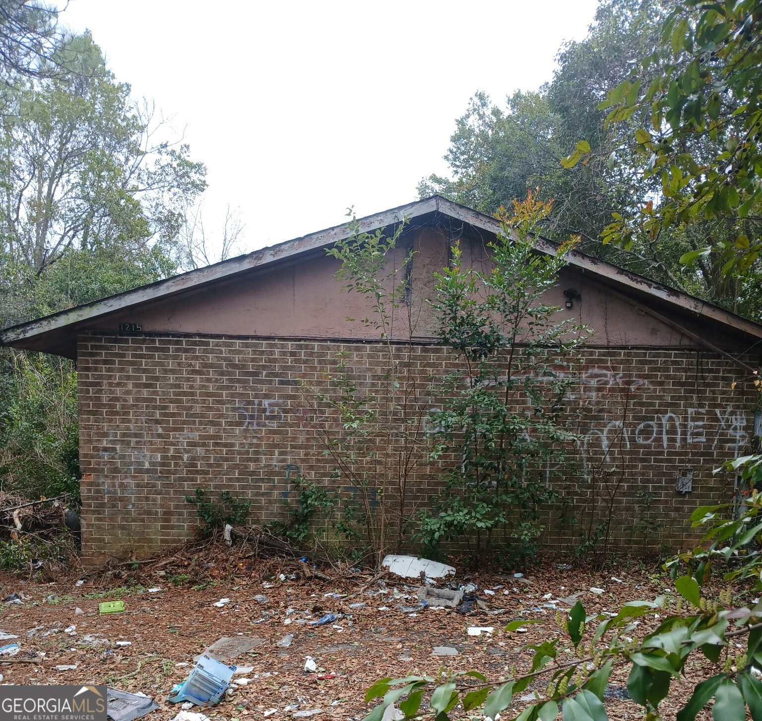 1215 Hawkinsville AVE