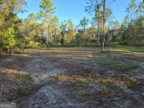 Photo of 600 Alton Lawson Road, Adrian, GA 31002 (MLS # 10823242)