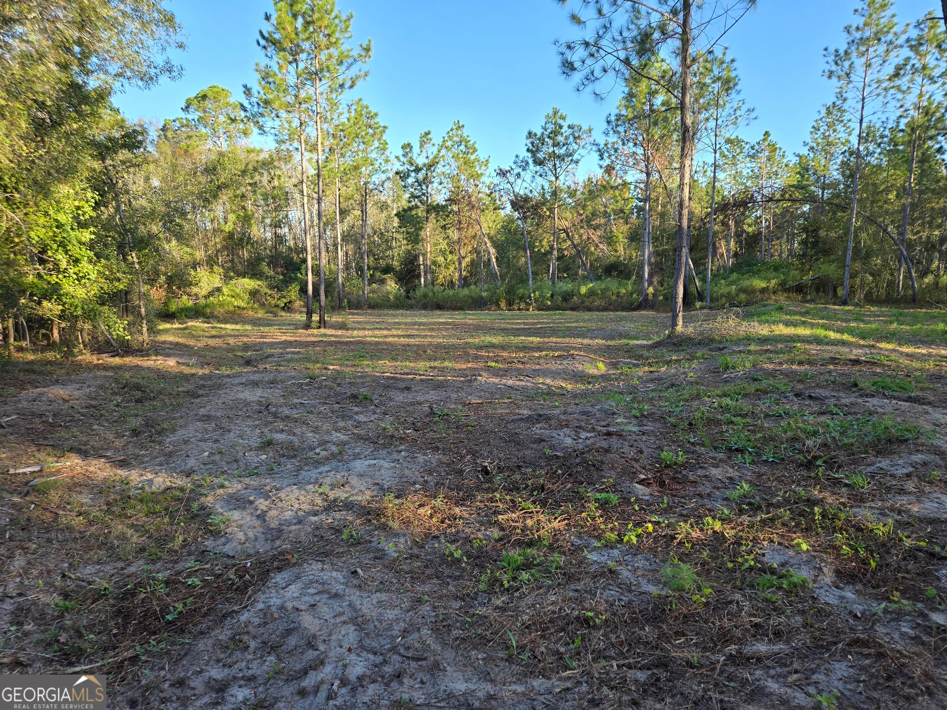 600 Alton Lawson Road, Adrian, GA, 31002