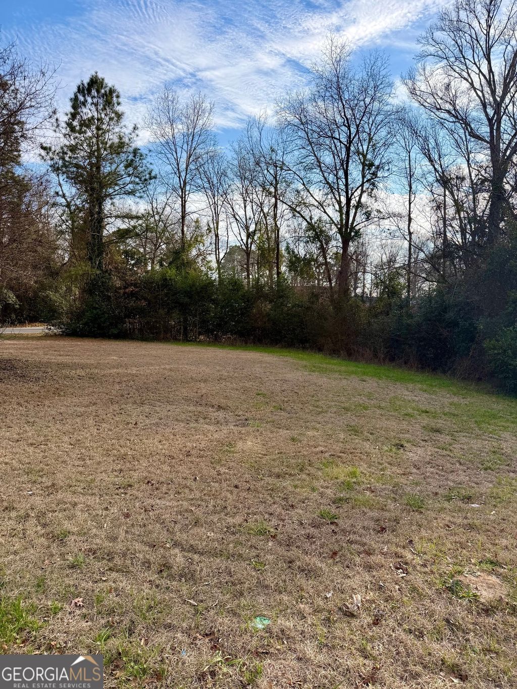 Photo of 2009 Green Street, Warner Robins, GA 31093 (MLS # 10741257)