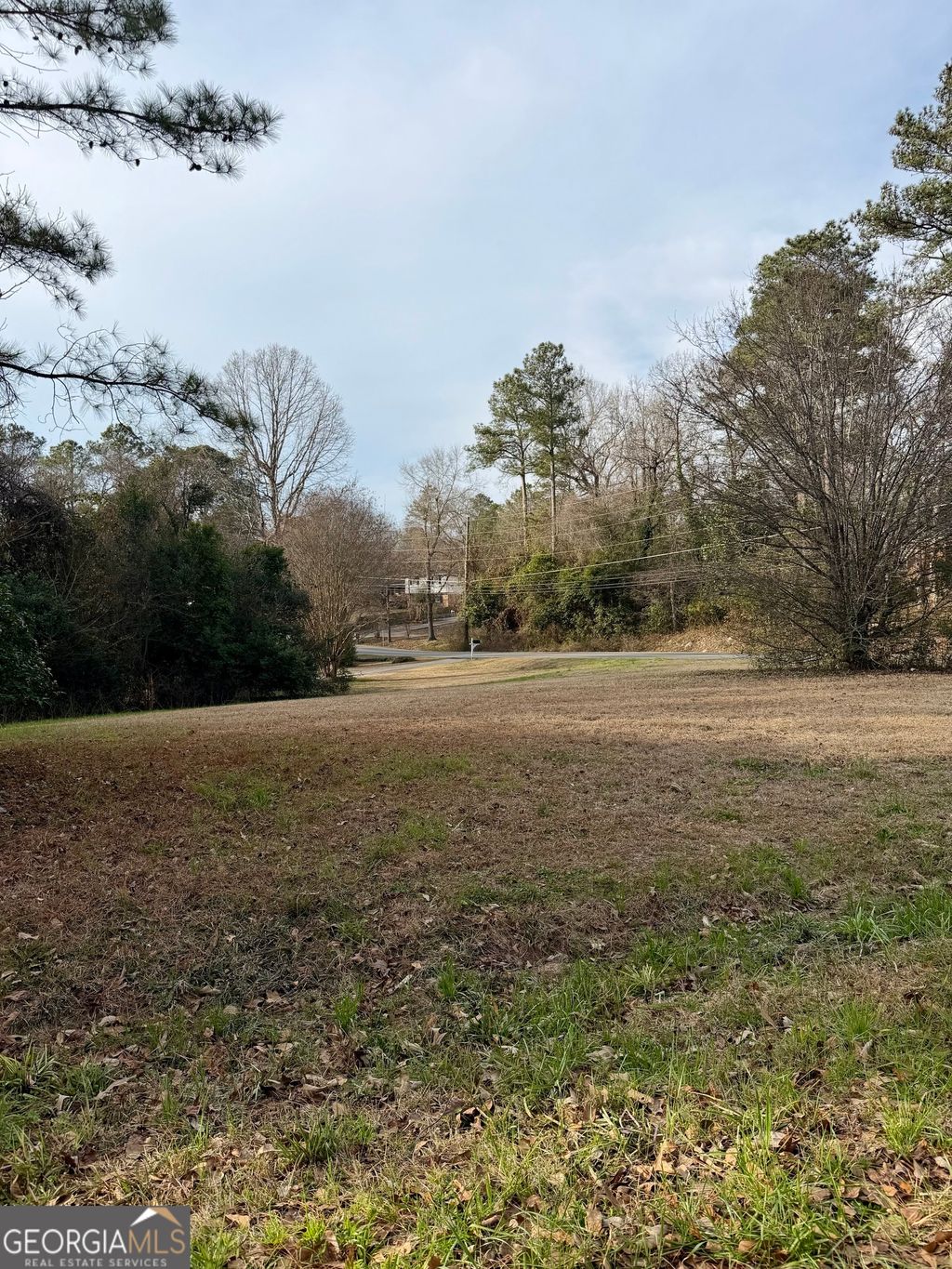 Photo of 2009 Green Street, Warner Robins, GA 31093 (MLS # 10741257)