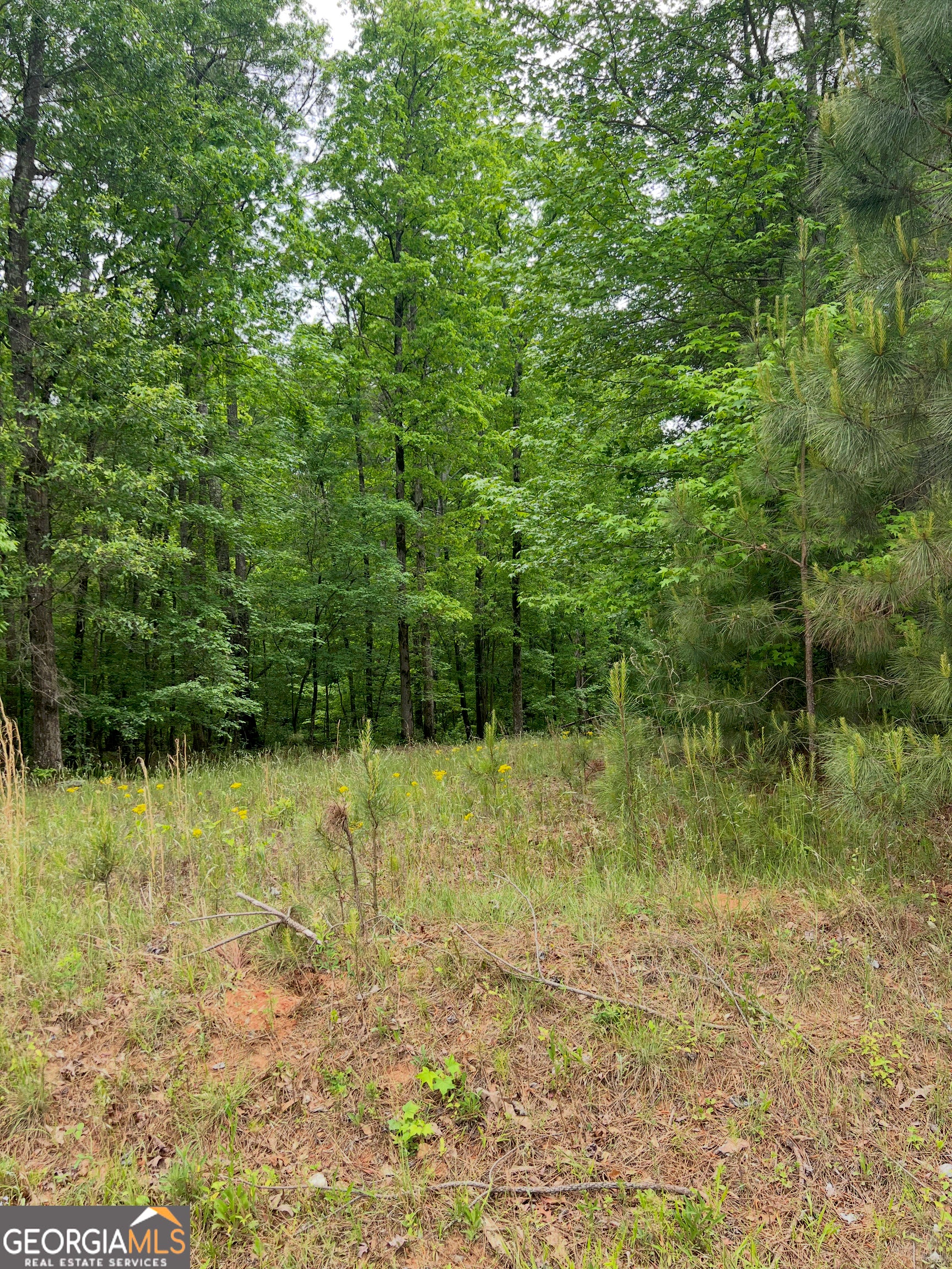 1585 N Ola RD