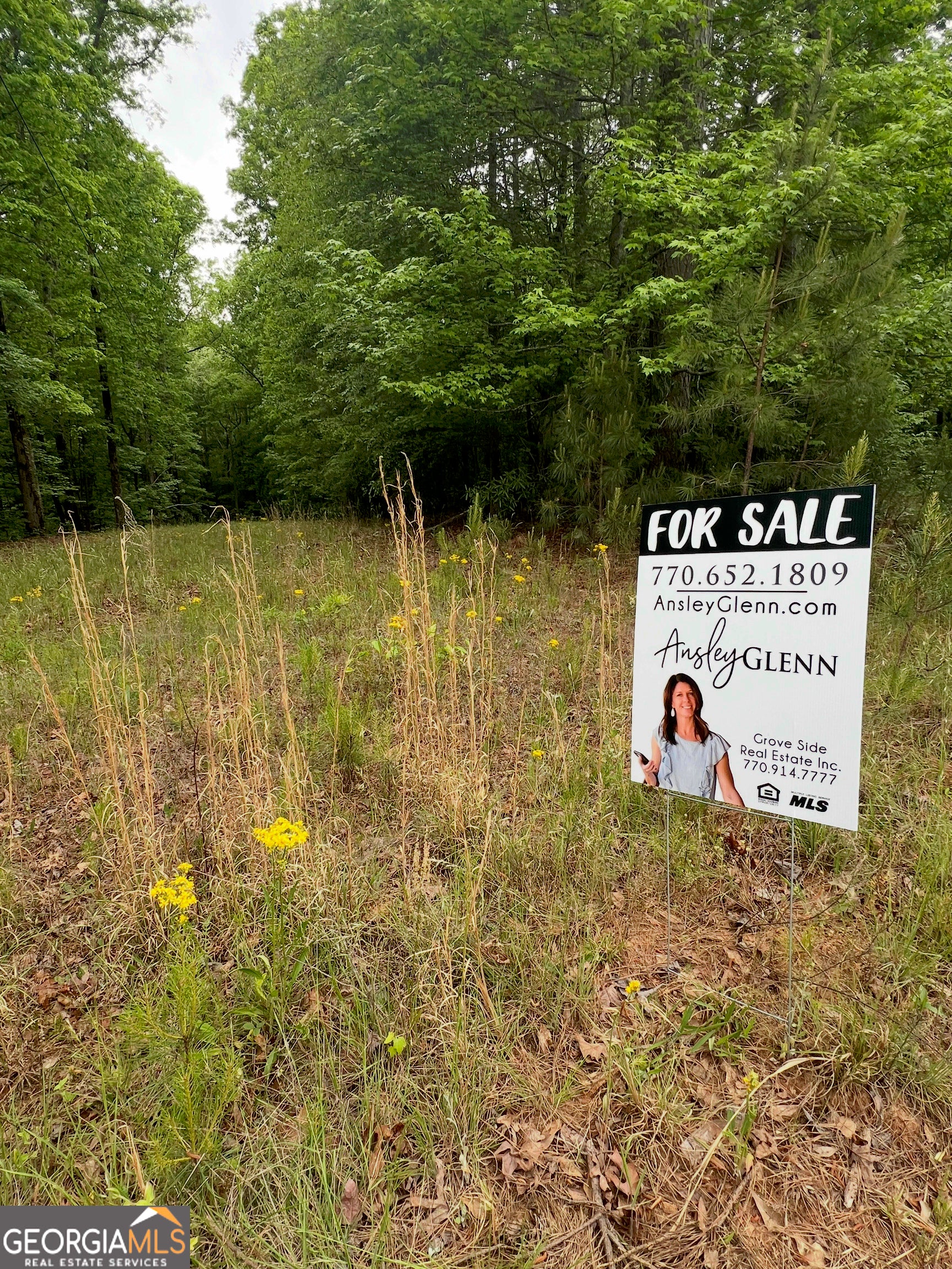 1585 N Ola RD