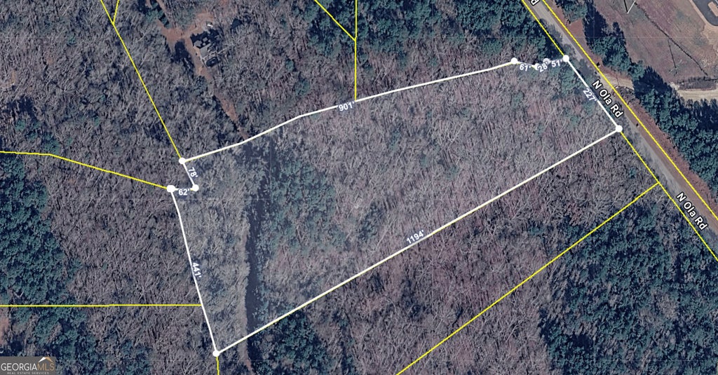 Photo of 1585 N Ola Road, McDonough, GA 30252 (MLS # 10868408)