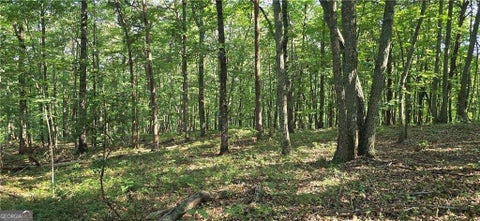 Photo of 0 Firetower Road, Jasper, GA 30143 (MLS # 10871208)