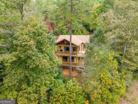 292 Silver Fox TRL Blue Ridge GA 30513