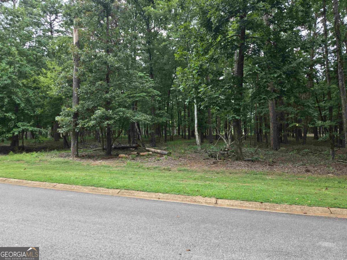 2.09 ACRES South Grove RD