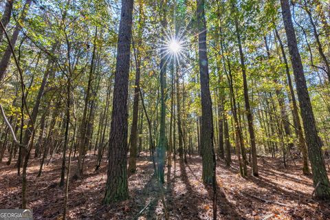 Photo of 0 Wilson Lane, Arnoldsville, GA 30619 (MLS # 10638271)