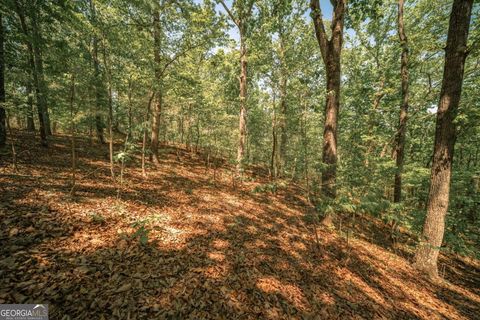 Photo of 0 Hancock Mountain Trl, Waleska, GA 30183 (MLS # 10735419)