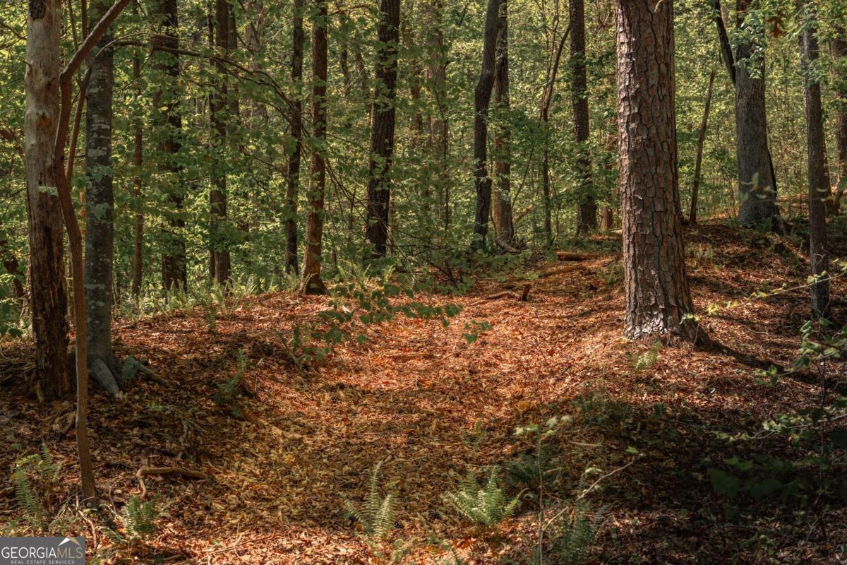 0 Hancock Mountain Trl