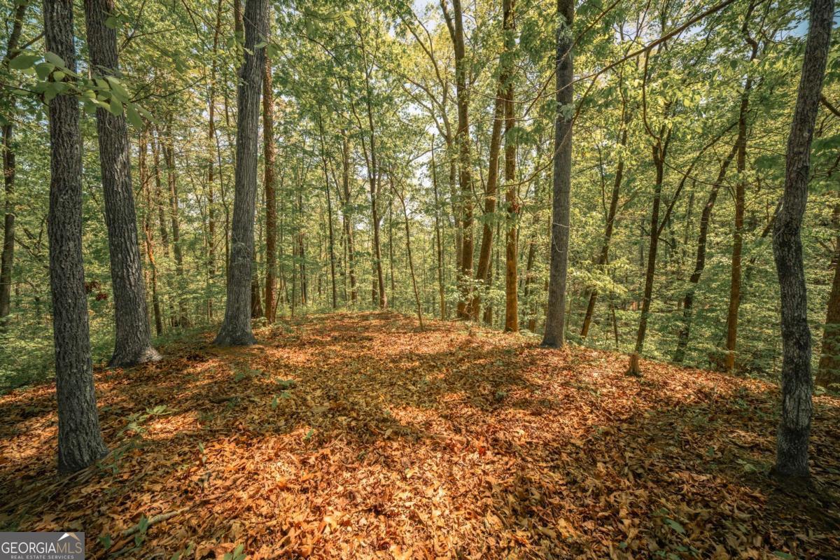 0 Hancock Mountain Trl