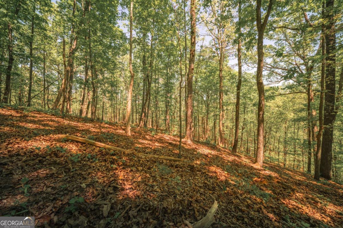 0 Hancock Mountain Trl