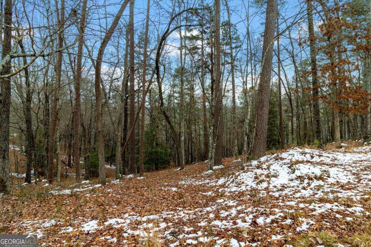 Photo 1 of 12 — LOT 5 Curtis Ridge RD 5, Blue Ridge, GA 30513