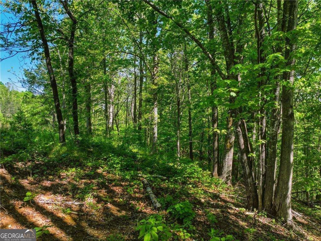 LOT 6 Summit DR