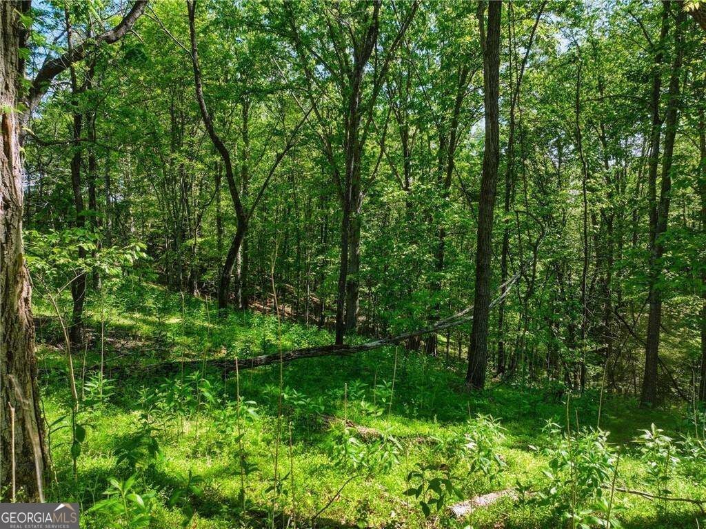 LOT 6 Summit DR
