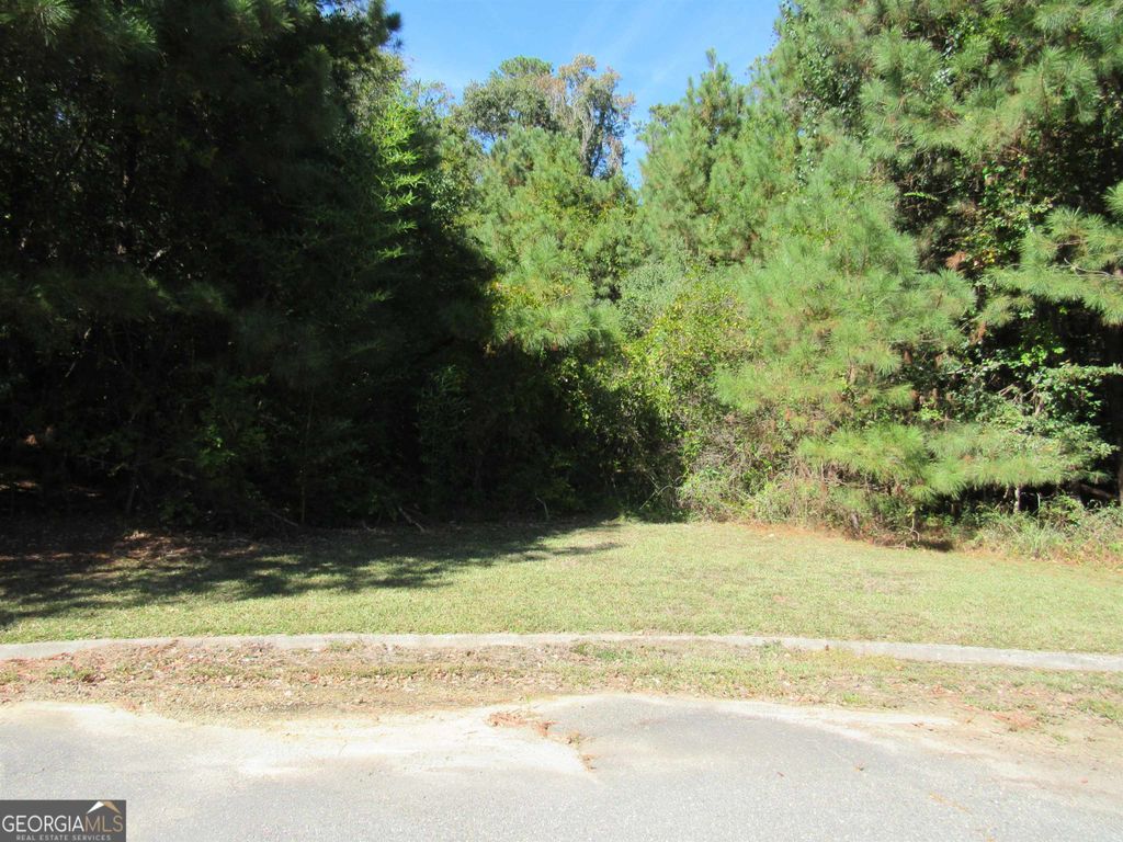 Photo of 125 N Laura Ann Court, Macon, GA 31210 (MLS # 10679603)