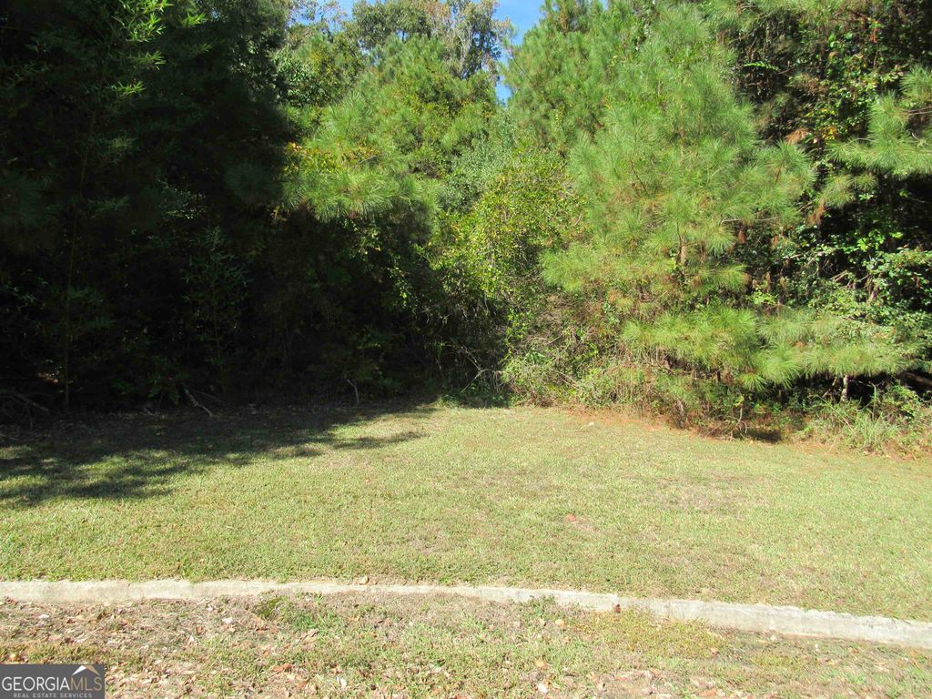 Photo of 125 N Laura Ann Court, Macon, GA 31210 (MLS # 10679603)